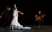 Referencial. Danza flamenca.