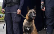 El can Luna halló sustancias sujetas a fiscalización listas para consumo durante un operativo preventivo en el parque La Carolina