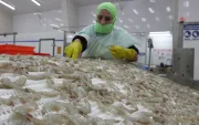 El camarón ecuatoriano enfrenta controles sanitarios en China