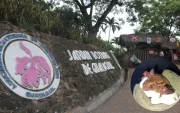 El estudio identificó refugios naturales utilizados por distintas especies de murciélagos dentro de las instalaciones del Jardín Botánico.