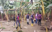 Agrocalidad ha detectado un segundo brote de la plaga Fusarium en El Oro.