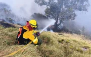 Bomberos de Quito controlaron un incendio forestal registrado en el sector Jaime Roldós, donde se desplegó un operativo para evitar la propagación del fuego.