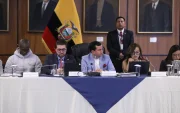 Ferdinan Álvarez preside la Comisión e Fiscalización en donde se tramita el juicio contra la exministra de Energía Inés Manzano.