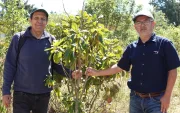 Ramiro Morejón Neira y Juan Carlos Robles Neira acuden al menos tres veces por semana al bosquete, en el Bicentenario.