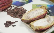 La Cumbre Mundial del Cacao será del 4 al 6 de agosto