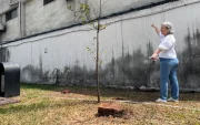 Tala de árboles en la ciudadela Entre Ríos