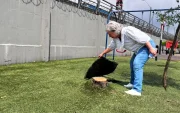 Tala de árboles en la ciudadela Entre Ríos