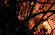 Incendio consume la zona de búsqueda de Lizeth Bunshi en el río Machángara, en Quito