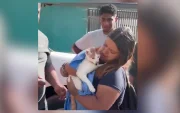 Rescatistas sostienen a Luli, la gata encontrada con vida tras permanecer 23 días bajo los escombros de un terremoto.
