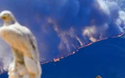 Incendio registrado en Burgohondo (centro de España), uno de los múltiples fuegos forestales que asolan el país este verano.