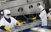 Santa Priscila es una de las mayores empresas camaroneras y exportadoras de camarón de Ecuador.