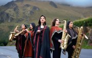 WarmiSax está formada por Nayelli Chora, Pamela Nazca, Evelyn Zambrano, Erika Escorza y Nathaly Andrade.