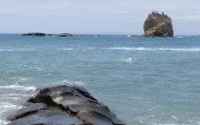 Formaciones rocosas en la costa, mientras la vida marina enfrenta riesgos por el aumento de la temperatura del océano.
