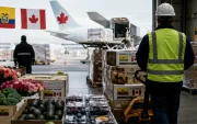 El TLC con Canadá abrirá nuevas oportunidades para las exportaciones ecuatorianas de flores, cacao, berries, brócoli y alimentos procesados.