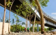 El primer Bosque de Bolsillo de Samborondón transformará un espacio bajo el puente hacia Guayaquil en una nueva área verde para la comunidad.