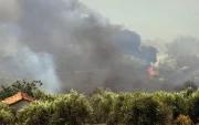 Vista del incendio en el área de Fichtia de la Argólida, en la región griega del Peloponeso.