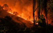 Bomberos de Quito controlaron el incendio forestal en Victoria de El Quinche, evitando que las llamas se propagaran hacia viviendas y vegetación cercana.
