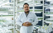 El Fusarium Raza 4 Tropical fue detectado por primera vez en Ecuador en 2025. En julio de 2026 se confirmó un segundo brote en un predio vecino de El Quemado, en la provincia de El Oro.