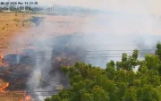 Incendio forestal en la avenida Narcisa de Jesús alarma a Guayaquil.