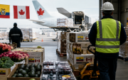 El comercio y la inversión canadiense representan oportunidades para diversificar las exportaciones ecuatorianas.