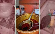 La inspección reveló plagas, restos de comida y suciedad en distintas áreas del establecimiento.