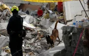 Un perro de rescate trabaja en una jornada de búsqueda en una zona afectada por el terremoto este 12 de agosto de 2026, en Cali (Colombia).