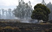 Vista de un incendio forestal en medio de altas temperaturas en Sibate, cerca de Bogotá, Colombia, el 3 de agosto de 2026.