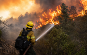 Bombero combate un incendio forestal mientras las llamas avanzan entre la vegetación.