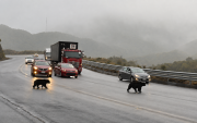 Dos osos andinos fueron vistos cerca de la vía Pifo-Papallacta y sorprendieron a los conductores.