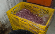 La inspección encontró residuos de sangre, carne y grasa en diferentes áreas del establecimiento.