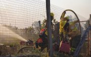 Ecuador reportó 1.314 incendios forestales entre julio y agosto; casi 9.800 hectáreas fueron afectadas.