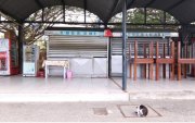 Comerciante fue asesinada el 20 de agosto al abrir su negocio en Chongón.