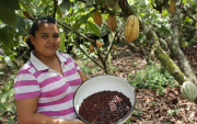 Las cooperativas llegan al campo y a los pequeños productores.