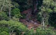 Un campamento clandestino de minería ilegal cerca del río Mangle este 14 de agosto de 2026, en la selva del Tapón del Darién.