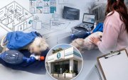 La Unidad de Bienestar Animal de Quito inspeccionó el lugar y obtuvo la versión de los directivos de la peluquería.