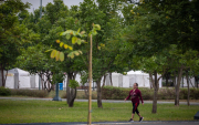 El parque Samanes cuenta con decenas de áreas verde para caminar.