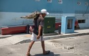 Un hombre carga un cocodrilo en Guayaquil.