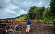 Daño ambiental. La maquinaria pesada destruyó 140 árboles nativos, afectando troncos, ramas y raíces de especies que ya no pueden recuperarse.