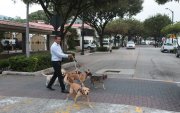 Ceibos un lugar comercial que armoniza su convivencia