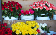 Imagen referencial. Puesto de flores.