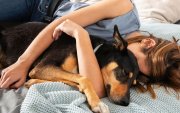 Lo mejor de la tarde: una siesta en compañía canina