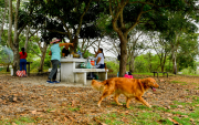 Las familias aún acuden al parque El Lago a realizar actividades al aire libre, como preparar alimentos y pedalear.