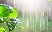 Referencial.Varias ciudades del país amanecen con lluvias este lunes, según el pronóstico del Inamhi.