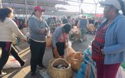 El mercado América en Tunguahua donde se venden una variedad de animales.
