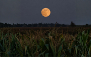 La Luna de la Cosecha del 26 de septiembre de 2026 comparte cielo con Saturno y Neptuno, ambos visibles cerca del disco lunar esa noche