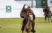 INTERCULTURAL EL CHAGRA ANDINO DEMUESTRA SU DESTREZAS EN EL RODEO, LAS COMPETENCIAS SE LAS REALIZAN EN MACAJE FECHA:01/04/2026 AG-PERIODISTA AG- AG-EXPRESO AG-GRANASA