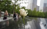 Fotografía del 31 de agosto de 2026 que muestra una flor puesta en el Monumento y Museo Nacional del 11 de Septiembre en Nueva York (Estados Unidos).