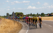 Ciclistas durante la decimoséptima etapa de La Vuelta a España, de 185 kilómetros de recorrido entre Dos Hermanas y Sevilla.