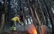 El incendio en el cerro Guagualzhumi afectó a cuatro hectáreas de vegetación.