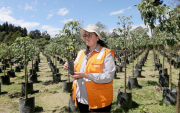 María Belén Calvache, directora de Áreas Naturales de la Empresa de Obras Públicas de Quito, en el vivero de Las Cuadras, sur de la urbe.